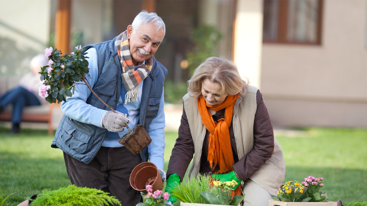 13 Why Australia’s Retired Community is Getting Fitter.png